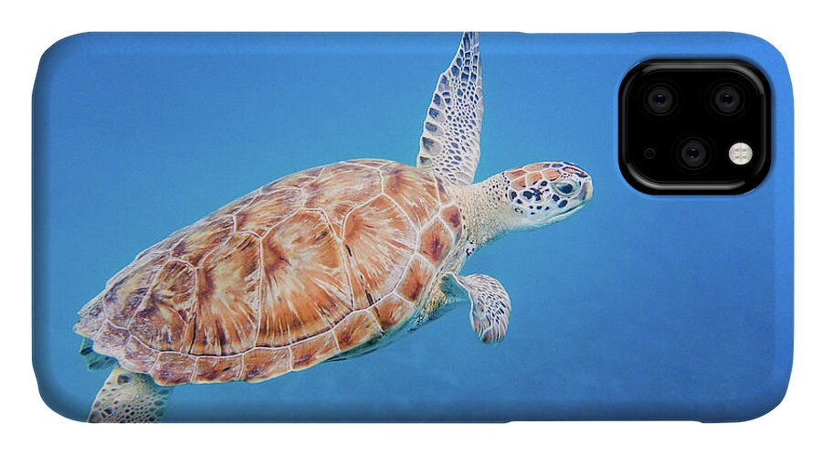 Turtle iPhone 11 Case featuring the photograph Green Sea Turtle swimming by Mark Hunter