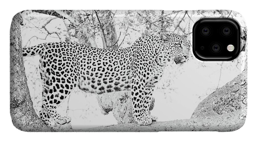 Leopard iPhone 11 Case featuring the photograph High Key Leopard by Mark Hunter