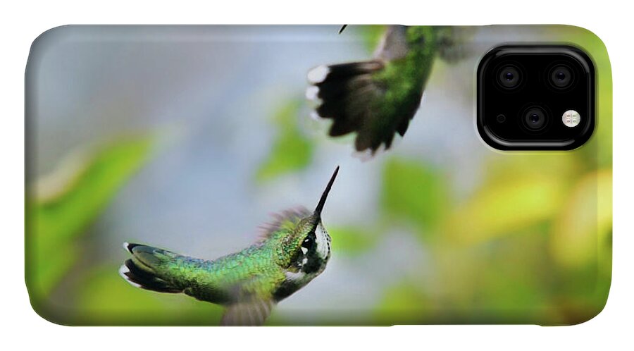 Hummingbirds iPhone 11 Case featuring the photograph Hummingbirds Ensuing Battle by Christina Rollo