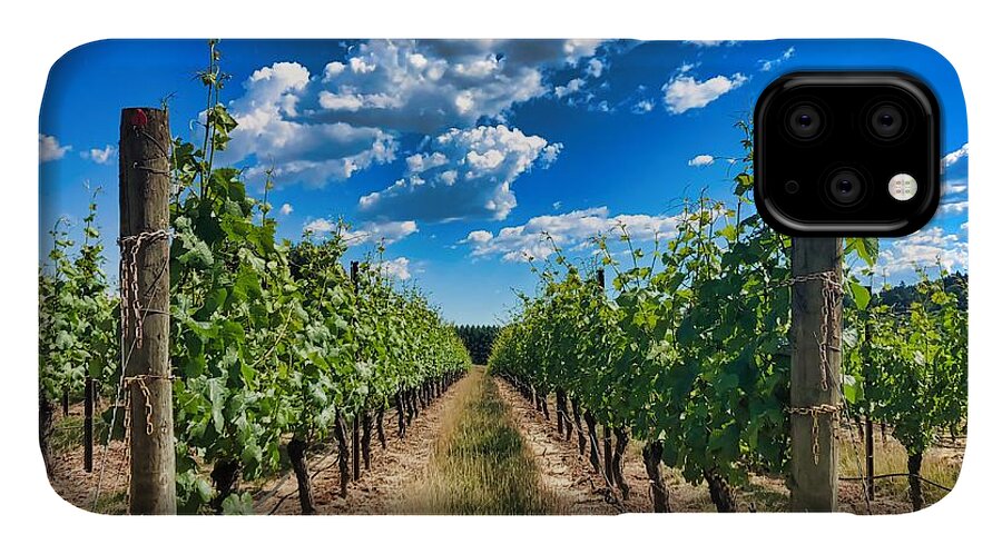 Vineyard iPhone 11 Case featuring the photograph In The Vineyard by Brian Eberly