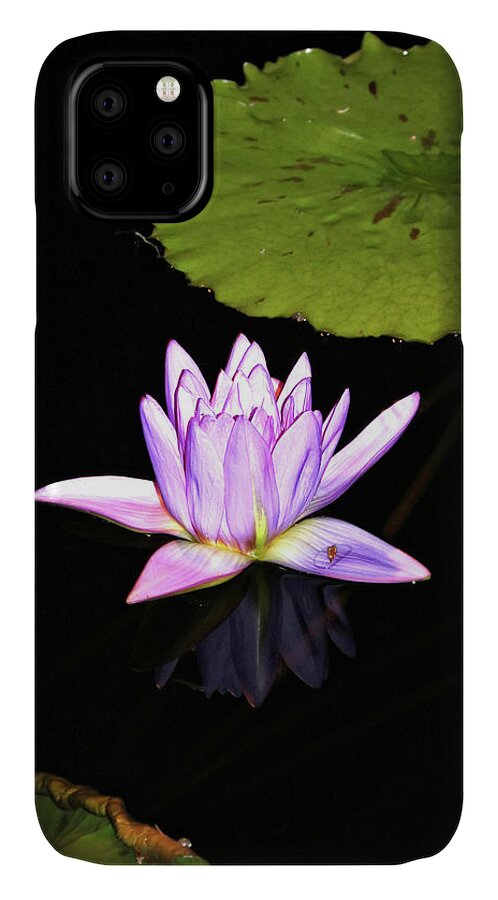 Water Lily iPhone 11 Case featuring the photograph Lavender Water Lily with Reflection by Trina Ansel