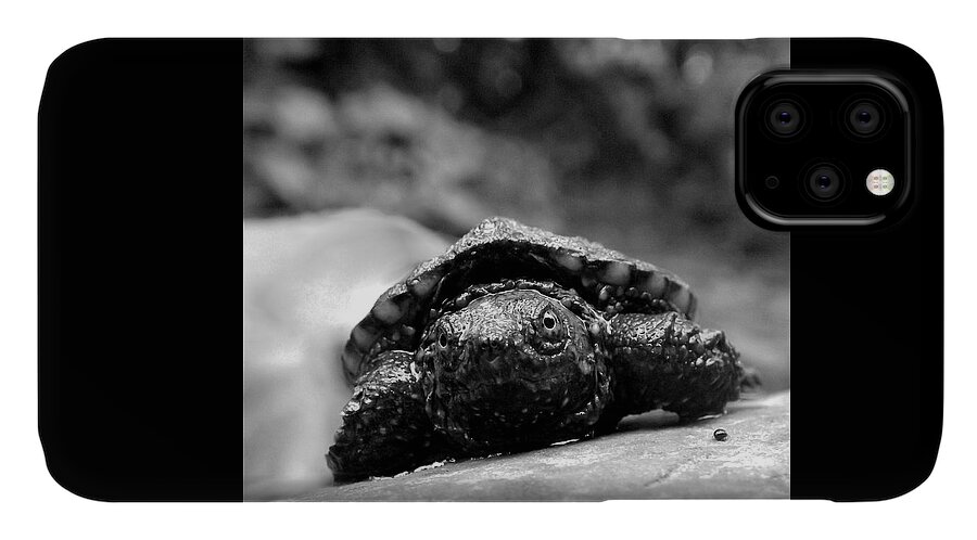 Snapping iPhone 11 Case featuring the photograph Lil Snapper by Danielle R T Haney
