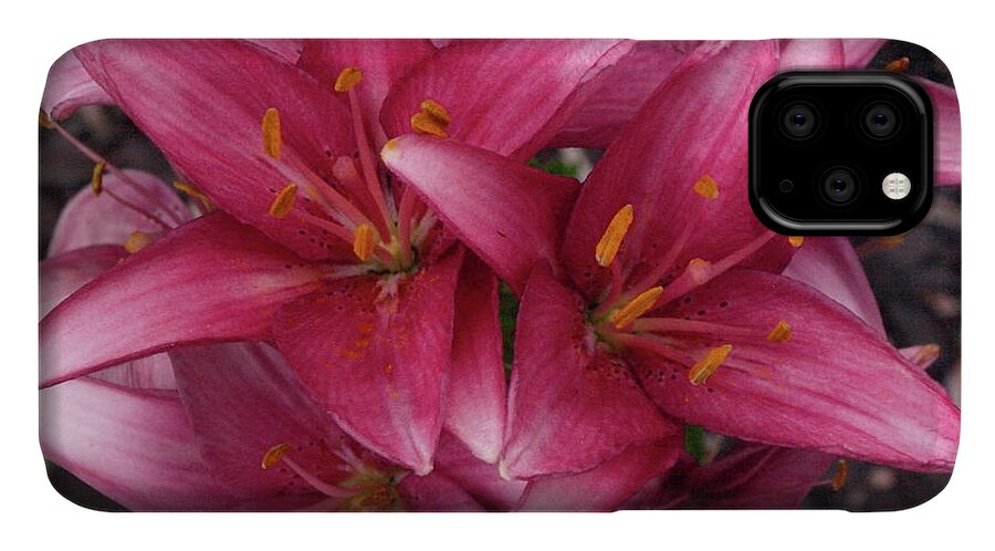 Lily iPhone 11 Case featuring the photograph Lilixplosion 6 by Jeffrey Peterson