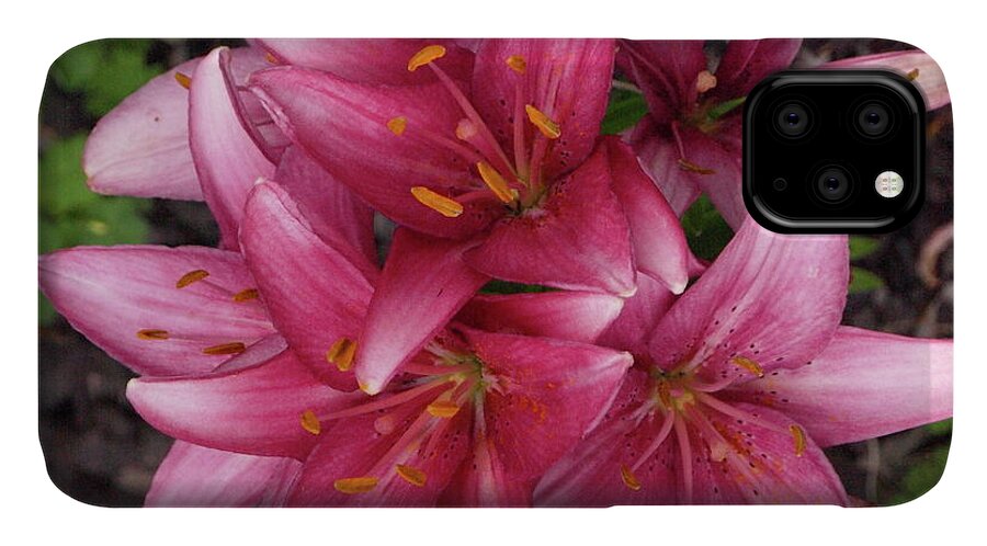Lily iPhone 11 Case featuring the photograph Lilixplosion 7 by Jeffrey Peterson