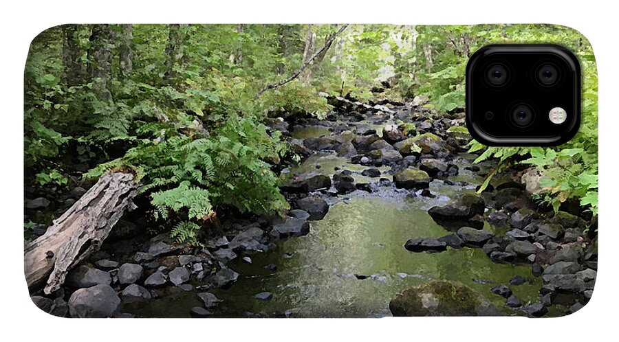 Brook iPhone 11 Case featuring the photograph Mossy Brook by Tom Johnson