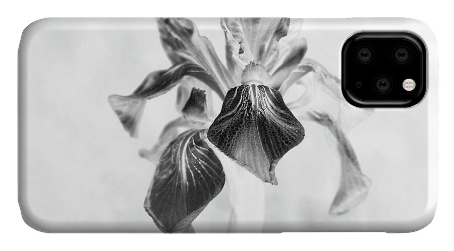Mountain Lily iPhone 11 Case featuring the photograph Mountain Lily by Natalie Dowty