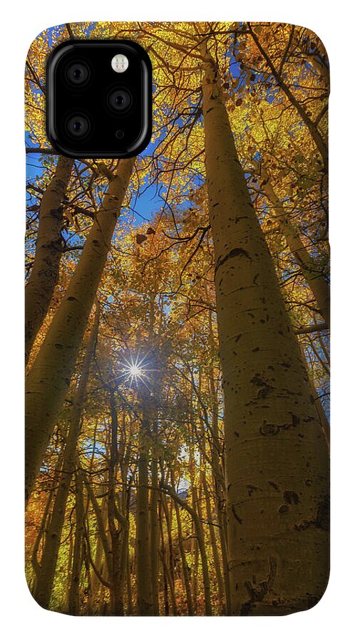 Gold iPhone 11 Case featuring the photograph Natures Gold by Tassanee Angiolillo