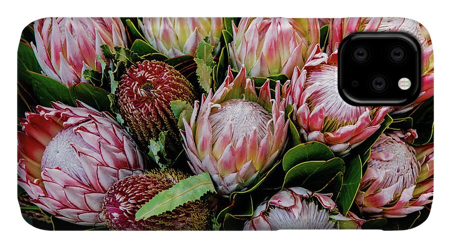 Floral iPhone 11 Case featuring the photograph Protea, Exotic Beauty of South Africa by Marcy Wielfaert