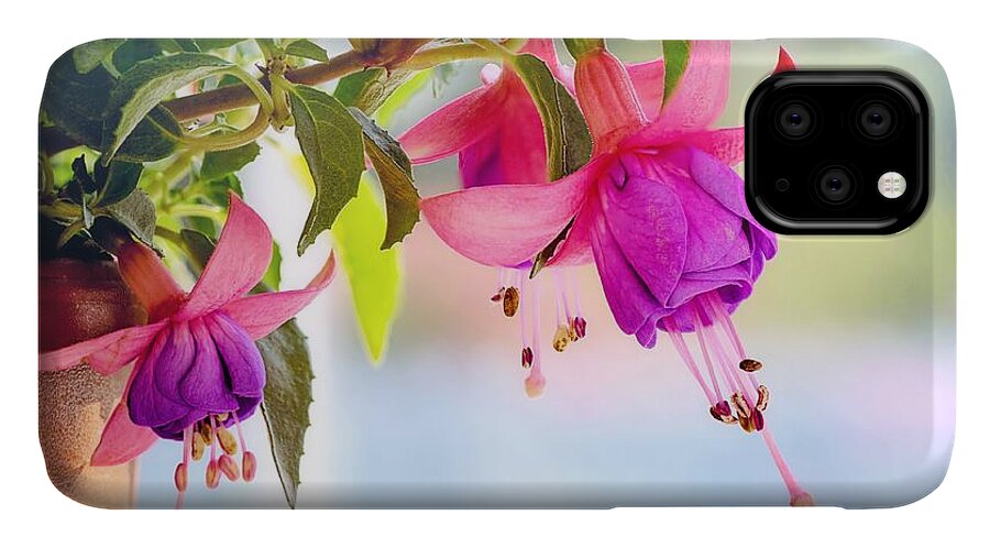 Flower iPhone 11 Case featuring the photograph Purple flowers by Top Wallpapers