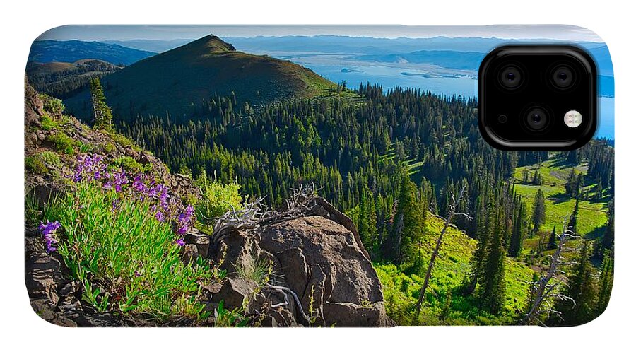 Lake iPhone 11 Case featuring the photograph Purple Vista by Tom Gresham