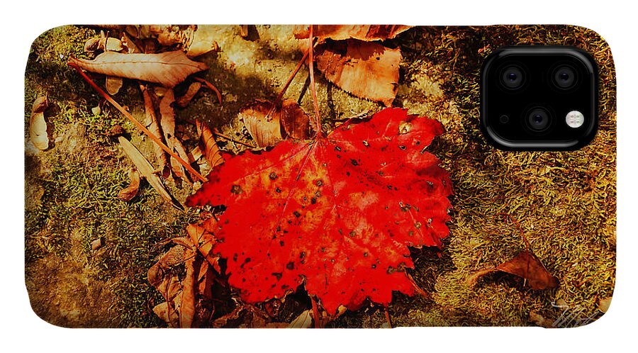 Fall iPhone 11 Case featuring the photograph Red Leaf on mossy rock by Meta Gatschenberger
