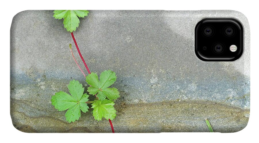 Duane Mccullough iPhone 11 Case featuring the photograph Rock Stain Abstract 4 by Duane McCullough