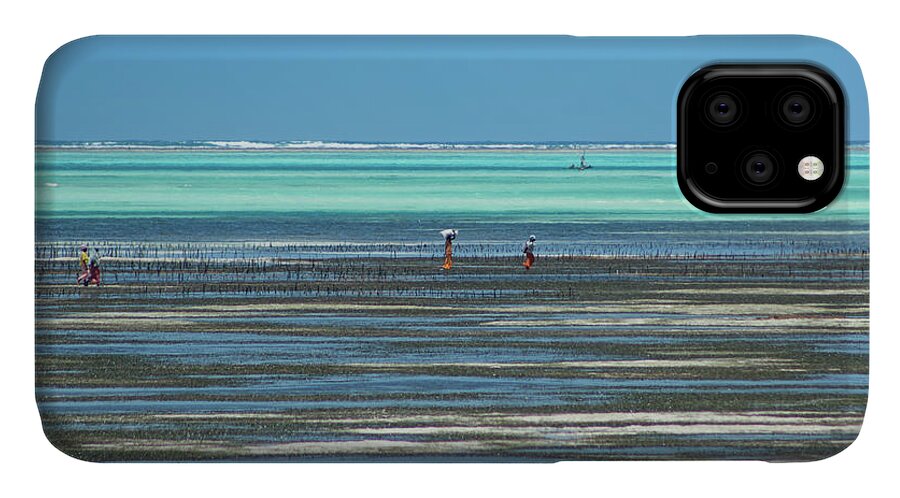  iPhone 11 Case featuring the photograph Sea weed collectors 1 by Mache Del Campo
