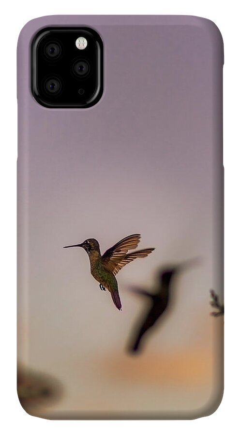 Hummingbird iPhone 11 Case featuring the photograph Shift Change by Peter Hull