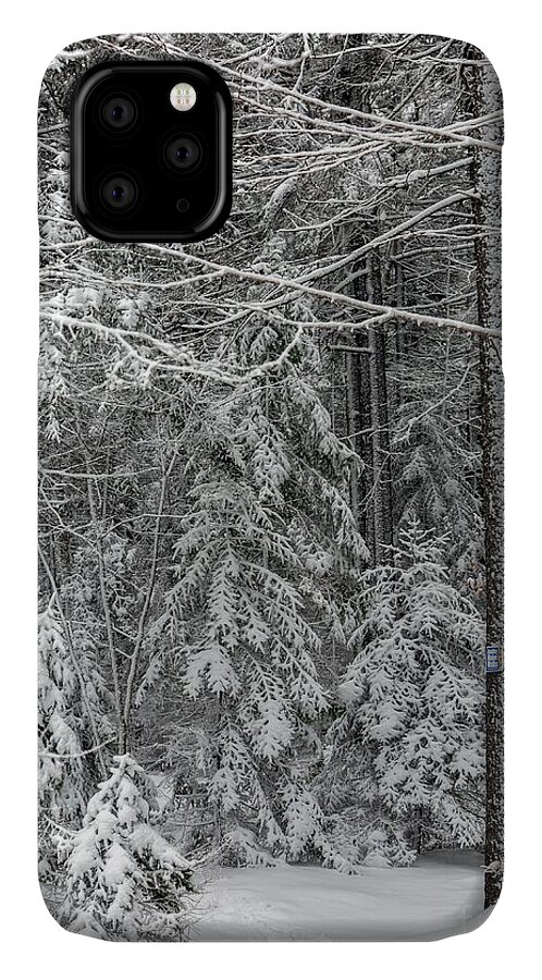 Maine iPhone 11 Case featuring the photograph Silence by Karin Pinkham