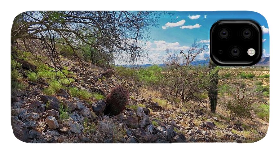 Arizona iPhone 11 Case featuring the photograph Sonoran Desert Serenity by Judy Kennedy