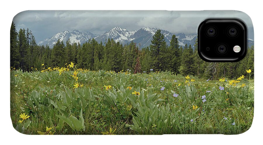 Grand Tetons iPhone 11 Case featuring the photograph Stormy Tetons and Flowers by Bruce Gourley