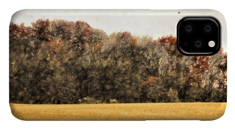 Landscape iPhone 11 Case featuring the digital art Three Crows and Golden Field by Diane Chandler