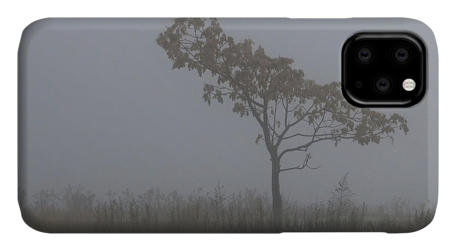 Tree iPhone 11 Case featuring the photograph Tree in Fog by William Selander
