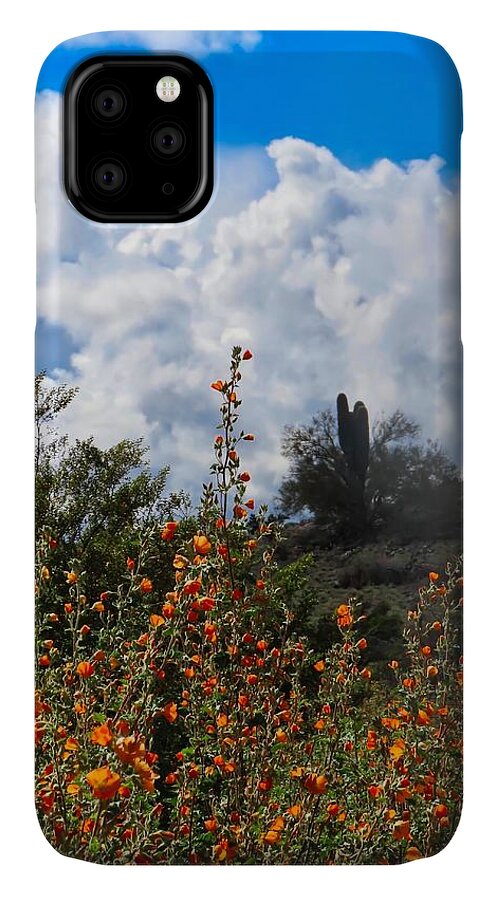 Arizona iPhone 11 Case featuring the photograph Under a White Fluffy Cloud by Judy Kennedy