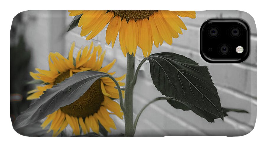 Sunflower iPhone 11 Case featuring the photograph Urban Sunflower - Black and White by Lora J Wilson