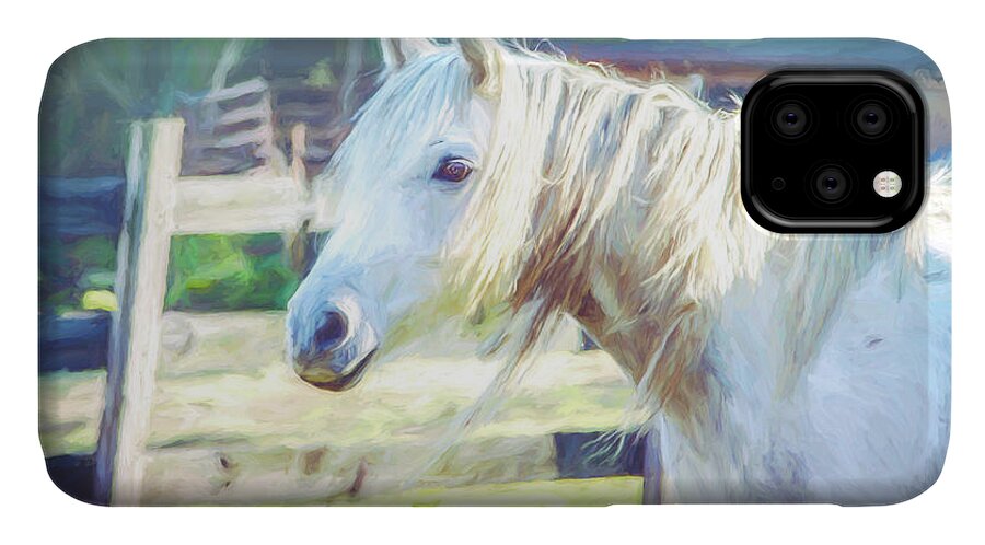 Horse iPhone 11 Case featuring the photograph White Horse by Eleanor Abramson