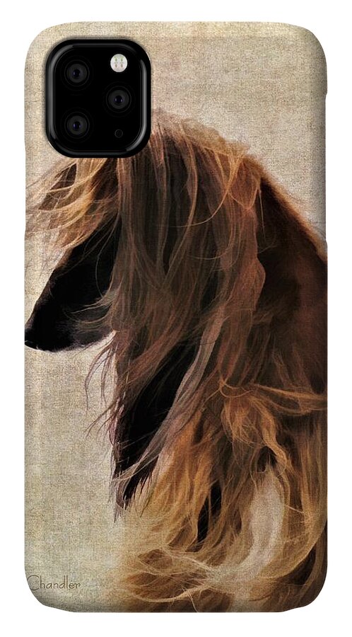 Dog iPhone 11 Case featuring the painting Windblown by Diane Chandler