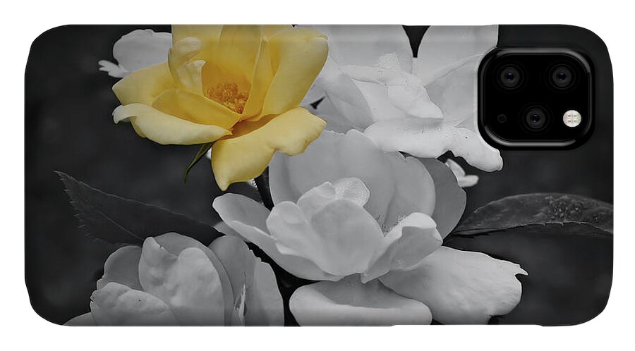 Rose iPhone 11 Case featuring the photograph Yellow Rose Cluster Partial Color by Smilin Eyes Treasures