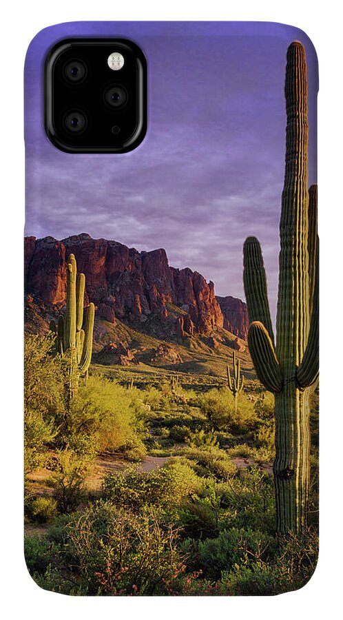 Sunset iPhone 11 Case featuring the photograph In The Desert Golden Hour #1 by Saija Lehtonen