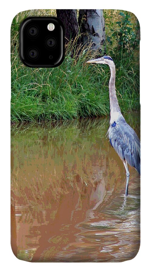 Bird iPhone 11 Case featuring the photograph Blue Heron on the East Verde River by Matalyn Gardner