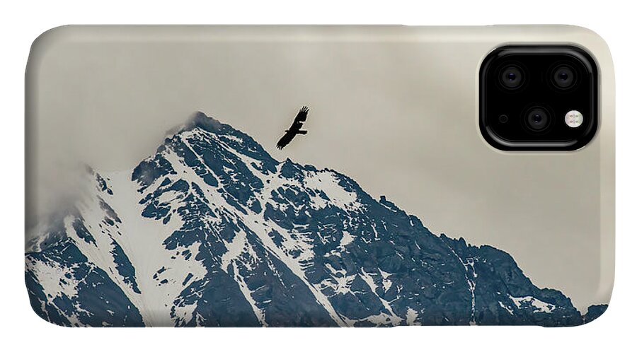 Above iPhone 11 Case featuring the photograph Free to Soar by Marcy Wielfaert