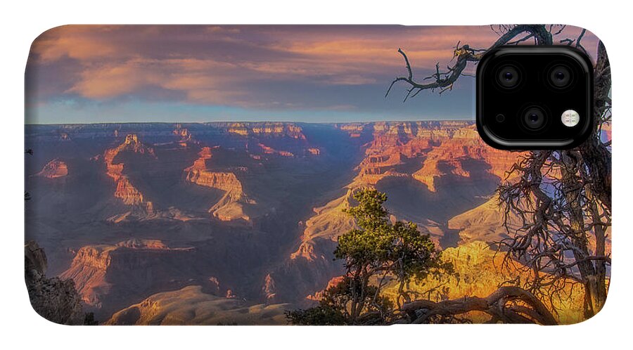 Arizona iPhone 11 Case featuring the photograph Gnarled juniper on Canyon Rim by Jeff Folger