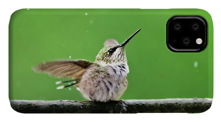 Hummingbird iPhone 11 Case featuring the photograph Hummingbird In The Rain by Christina Rollo