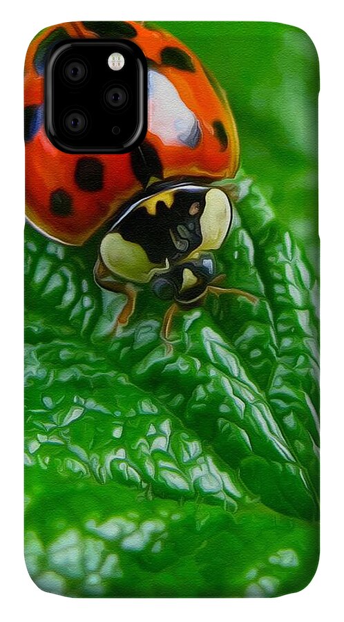 Ladybug iPhone 11 Case featuring the photograph Natural color contrast by Tatiana Travelways