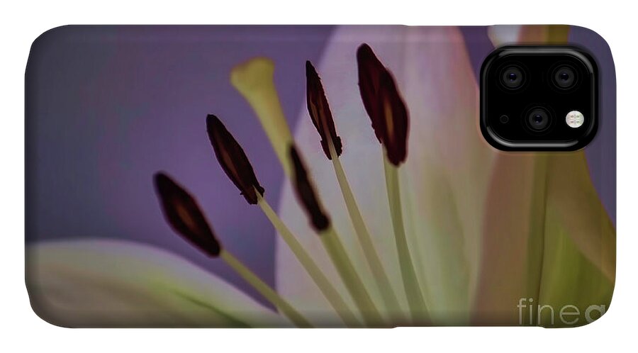 Flower iPhone 11 Case featuring the photograph Soft Lily by Roberta Byram