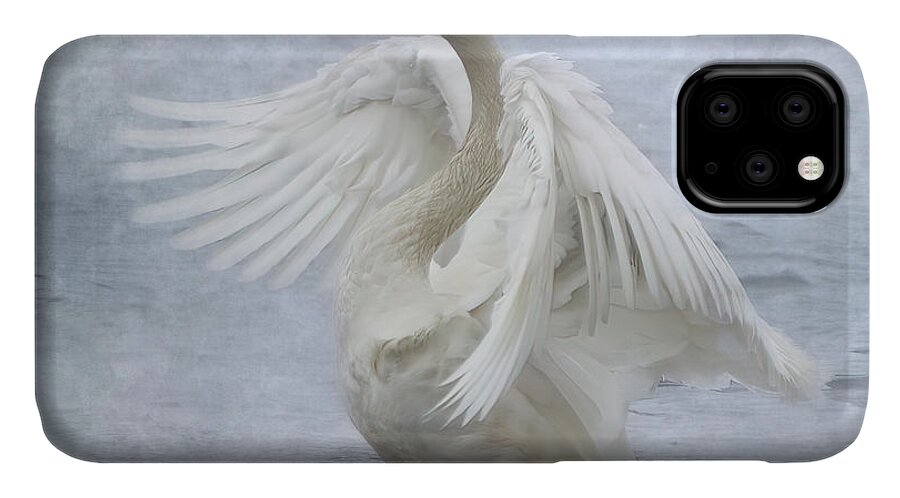 Swan iPhone 11 Case featuring the photograph Trumpeter Swan - Misty Display by Patti Deters