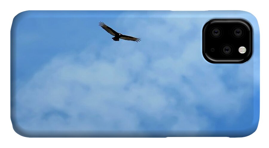 Arizona iPhone 11 Case featuring the photograph Turkey Vulture in Flight by Judy Kennedy