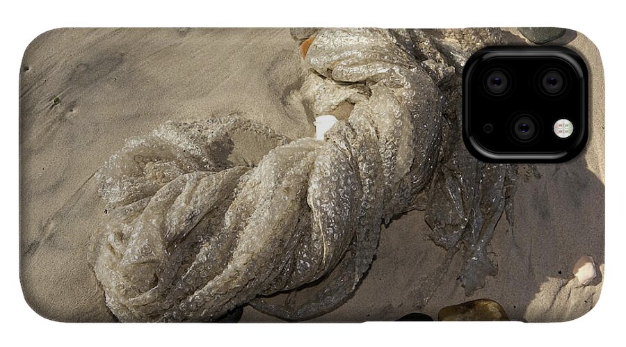 Ocean Conservancy International iPhone 11 Pro Case by Samantha Pixels