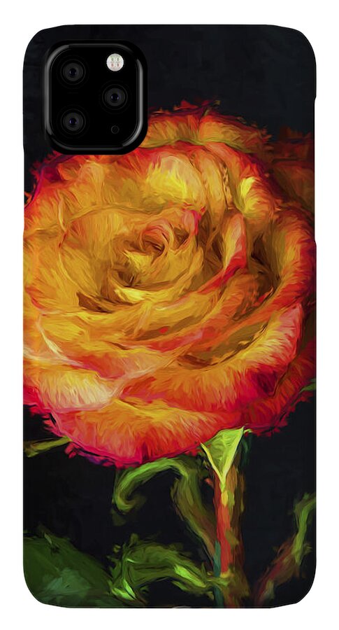 Louisville cardinals Painted Digitally 2 iPhone 5s Case by David Haskett II  - Instaprints