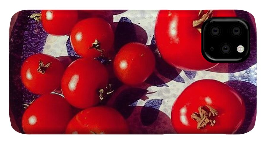 Tomato iPhone 11 Pro Max Case featuring the photograph The Entire Crop by Nic Squirrell