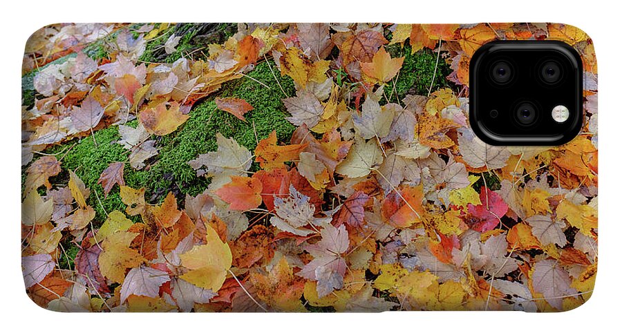 Colorful Autumn leaves and Mossy tree trunk iPhone 11 Pro Max Case by Jorge  Moro - Pixels