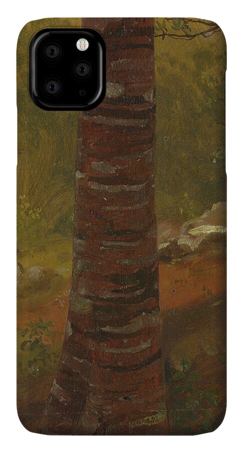 Tree Trunk iPhone 11 Pro Max Case by Frederic Edwin Church - Treasury  Classics Art - Artist Website