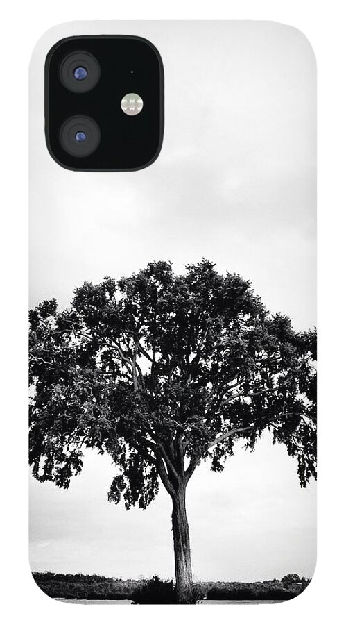 Tree iPhone 12 Case featuring the photograph The Tree Again by Kreddible Trout