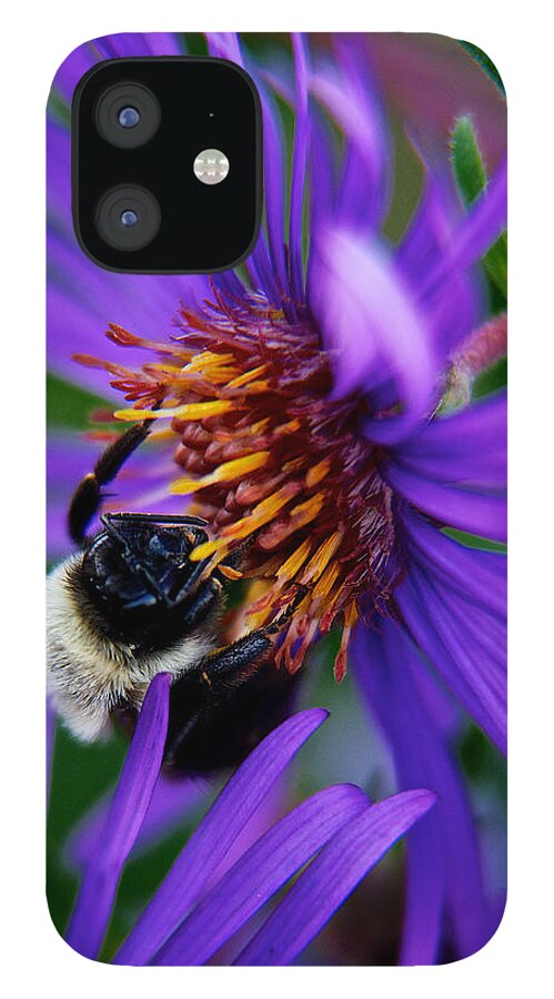 Bee iPhone 12 Case featuring the photograph Bee on purple flower #1 by Prince Andre Faubert