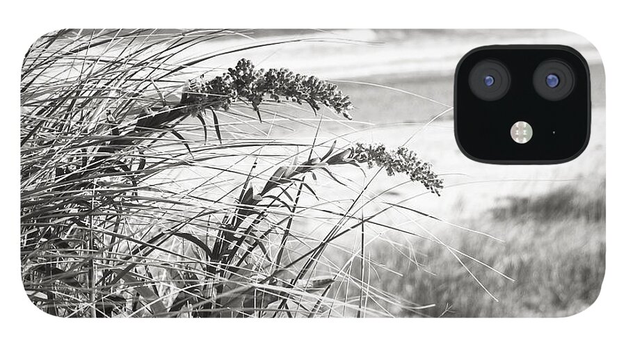Beach iPhone 12 Case featuring the photograph Bw15 by Charles Harden