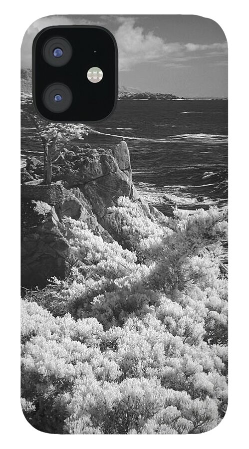 Ir iPhone 12 Case featuring the photograph Cypress Point #1 by Richard Stedman