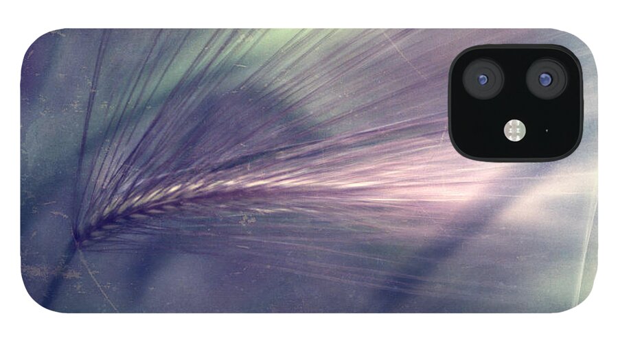 Foxtail Barley iPhone 12 Case featuring the photograph darkly series II #1 by Priska Wettstein