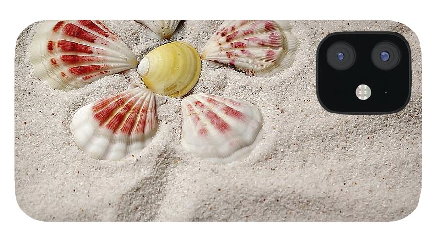 Shells iPhone 12 Case featuring the photograph I See Yellow by Karin Pinkham