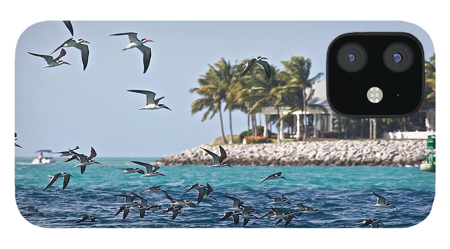Key West iPhone 12 Case featuring the photograph Key West #41 by Steven Lapkin