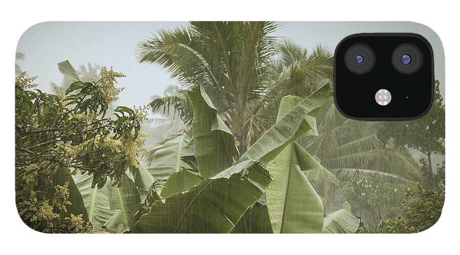 Coco iPhone 12 Case featuring the photograph Monsoon Rains in Sri Lanka #1 by Gina Koch